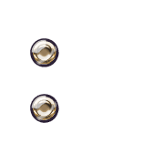 244