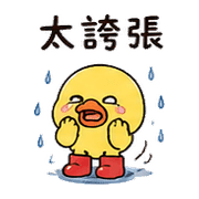 005
