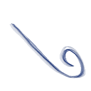 025