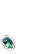 256