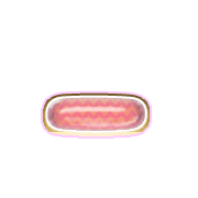 161