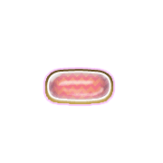 251
