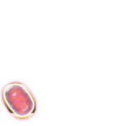256