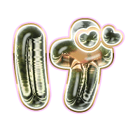 059