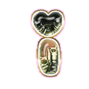 196