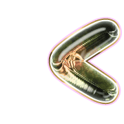 248