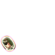 256
