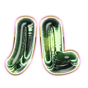 121