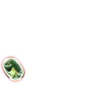 256