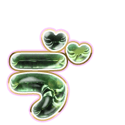 267