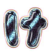 009