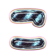 010