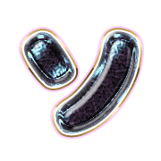095
