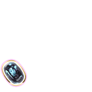 256