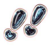 268