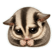 037