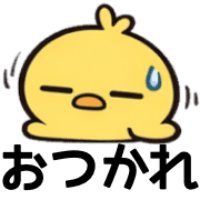 005