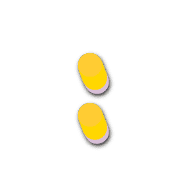 244