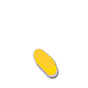 256