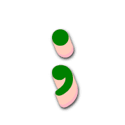 243