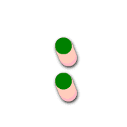 244