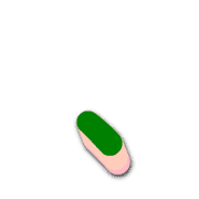 256