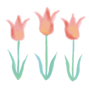 009