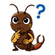 029