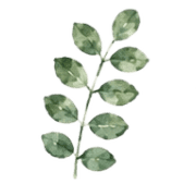 031