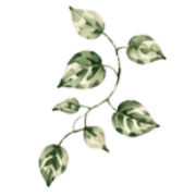 039