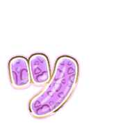 132