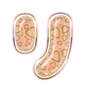 120