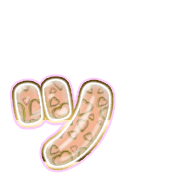 132