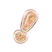 225