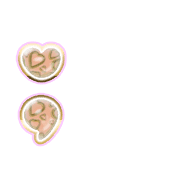 243
