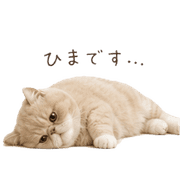 030