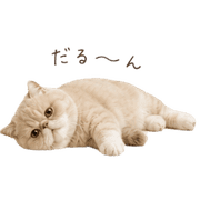 035