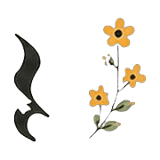 031