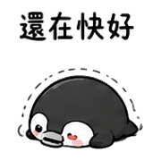 029