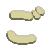 060