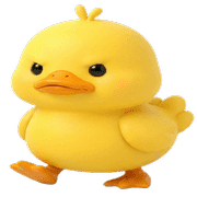 019