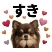 029