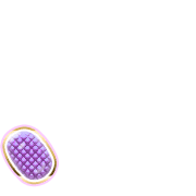 256