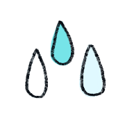 029