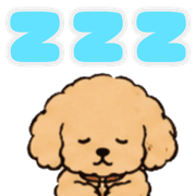 010