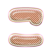 010