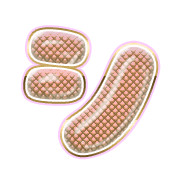 092