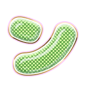 126