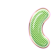 234