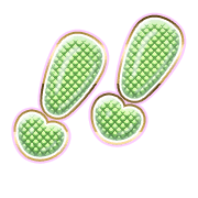 268
